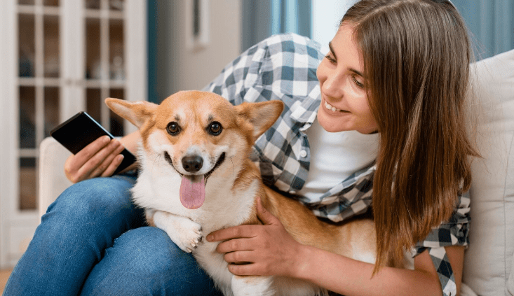 Códigos QR e cartões para animais de estimação: a maneira moderna de manter seu amigo peludo seguro